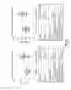 Fig. 09 - Antibodies that recognize IAPP