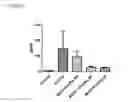 Fig. 11 - COMPOSITIONS COMPRISING MG53 AND METHODS FOR THE TREATMENT AND PREVENTION OF AIRWAY INJURY