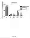 Fig. 06 - Human antibodies to GFR α3 and methods of treating pain associated with osteoarthritis or bone cancer
