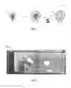 Fig. 02 - Molecular imprinted colored silica beads