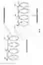 Fig. 10 - Complex containing carboxyl substituted starch and lipid for delayed delivery of active ingredients