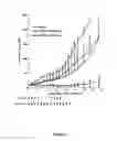 Fig. 02 - Herbal composition PHY906 and its use in chemotherapy