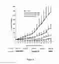 Fig. 07 - Herbal composition PHY906 and its use in chemotherapy