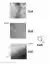 Fig. 04 - Coating for metal cellular structure and method therefor
