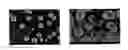 Fig. 01 - Process for producing chemically strengthened glass