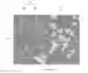 Fig. 01 - POLYCRYSTALLINE MATERIAL, BODIES COMPRISING SAME, TOOLS COMPRISING SAME AND METHOD FOR MAKING SAME