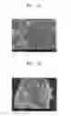 Fig. 02 - Cathode active material, cathode including the cathode active material, and sodium secondary battery including the cathode