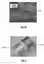 Fig. 06 - Making a liquid electrophotographic (LEP) paste