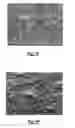 Fig. 07 - Making a liquid electrophotographic (LEP) paste