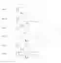 Fig. 03 - Orthodontics system and method of use