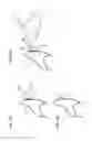 Fig. 10 - Orthodontics system and method of use