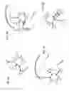 Fig. 07 - TOOL FOR PHYSICAL AND MENTAL TRAINING