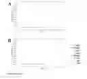 Fig. 06 - Detection method for spp. 