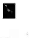 Fig. 52 - Genetically encoded biosensors