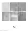 Fig. 07 - METHOD FOR PEPTIDE HISTOCHEMICAL DIAGNOSIS
