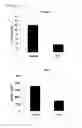 Fig. 08 - Anti-sAPPβ antibody