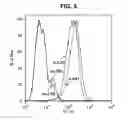 Fig. 06 - Soluble B7-H1