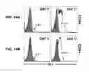 Fig. 16 - Soluble B7-H1