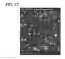 Fig. 53 - In vitro model for a tumor microenvironment
