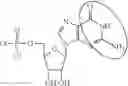 Fig. 100 - In vivo production of proteins