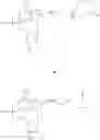 Fig. 136 - In vivo production of proteins