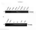 Fig. 24 - In vivo production of proteins
