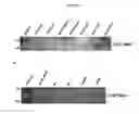 Fig. 28 - In vivo production of proteins