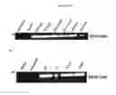 Fig. 29 - In vivo production of proteins