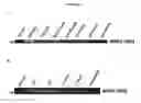Fig. 43 - In vivo production of proteins