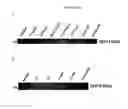 Fig. 48 - In vivo production of proteins