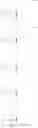 Fig. 67 - In vivo production of proteins