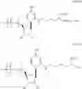 Fig. 68 - In vivo production of proteins