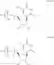 Fig. 69 - In vivo production of proteins