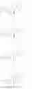 Fig. 83 - In vivo production of proteins