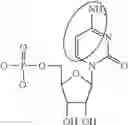 Fig. 89 - In vivo production of proteins