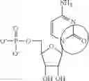 Fig. 90 - In vivo production of proteins
