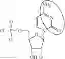 Fig. 91 - In vivo production of proteins