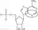 Fig. 96 - In vivo production of proteins
