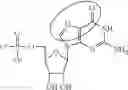 Fig. 98 - In vivo production of proteins