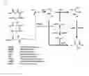 Fig. 02 - L-THREONINE-PRODUCING ESCHERICHIA COLI AND METHOD FOR PRODUCING L-THREONINE USING THE SAME