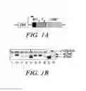 Fig. 02 - Methods and compositions for generating an immune response by inducing CD40 and pattern recognition receptor adapters
