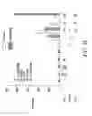 Fig. 41 - Methods and compositions for generating an immune response by inducing CD40 and pattern recognition receptor adapters