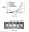 Fig. 43 - Methods and compositions for generating an immune response by inducing CD40 and pattern recognition receptor adapters