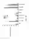 Fig. 46 - Methods and compositions for generating an immune response by inducing CD40 and pattern recognition receptor adapters