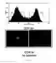 Fig. 09 - Transcription factor mediated programming towards megakaryocytes