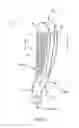 Fig. 02 - Golf club head with top line insert