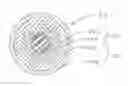 Fig. 01 - Golf balls having foam center containing clay particulate