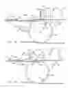 Fig. 04 - Flight lug for octagonal cartons