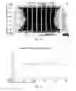 Fig. 16 - High speed turbine