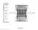 Fig. 70 - High speed turbine